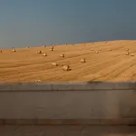 Tenuta Danesi - - - Bubble Ματέρα