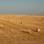 Tenuta Danesi - - - Bubble 3* Ματέρα