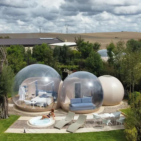 Tenuta Danesi - - - Bubble