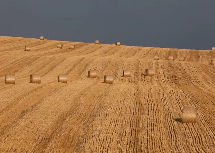Tenuta Danesi - - - Bubble Matera