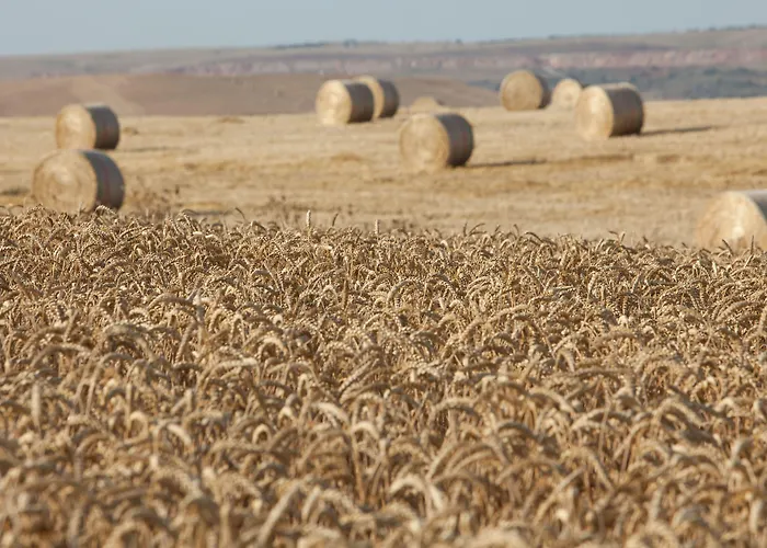 Hotel Tenuta Danesi - - - Bubble