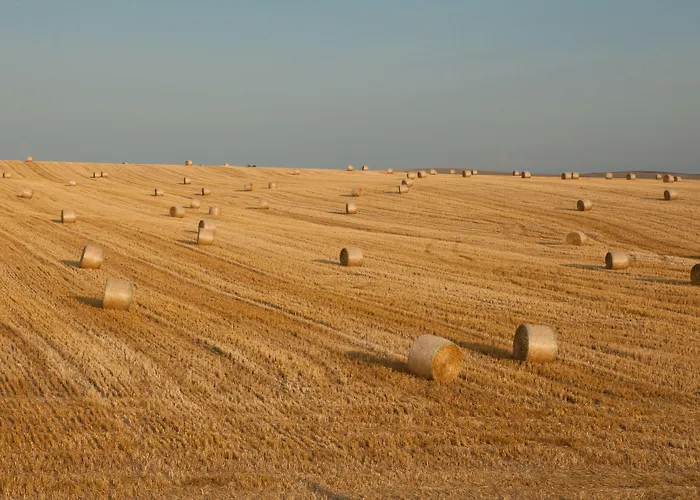 Tenuta Danesi - - - Bubble 3* Matera